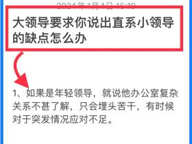 巧妙评价领导不足之处短句合集