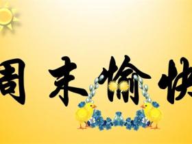 关于周末愉快的短句 每个句子都很暖心