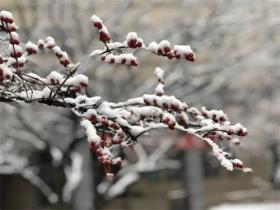 雪景发朋友圈的短句集合