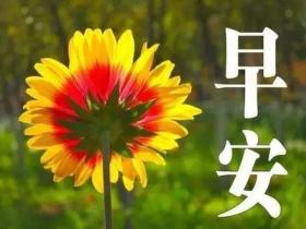 早安最暖心短句合集
