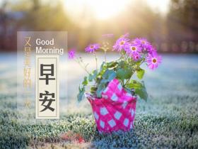 早安暖心小短句精选