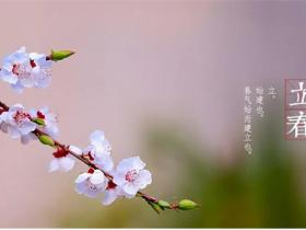 立春的唯美语录大全