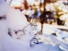 天冷人心暖的经典语录精选