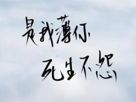 《二哈和他的白猫师尊》的经典语录