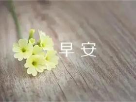 早安适合发朋友圈的语录句子精选