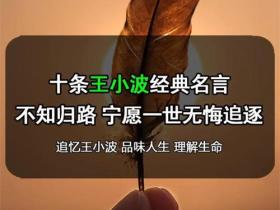 王小波的语录精选