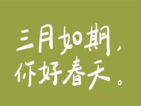 关于三月的唯美语录精选