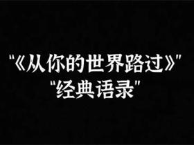 《从你的全世界路过》语录精选
