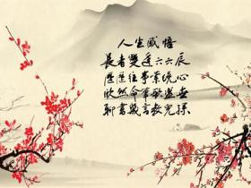 感悟人生的经典句子大全