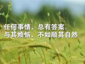 关于感悟生活的经典句子大全