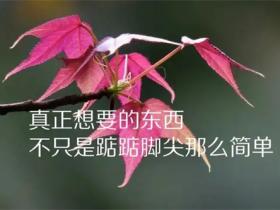 感悟人生的正能量句子精选