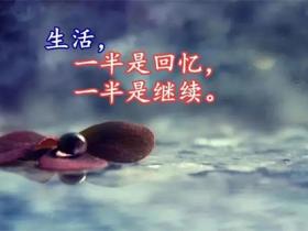 生活感悟的唯美句子精选