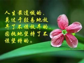 生活中感悟人生的句子精选
