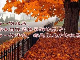 鼓励自己的名言合集