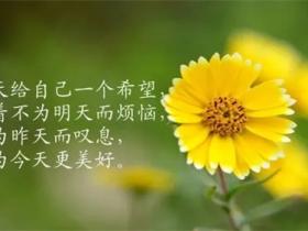 激励自己的名言精选