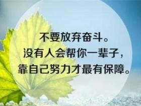 关于奋斗的名言精选