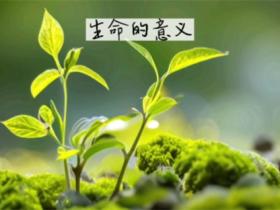 关于生命的名言精选
