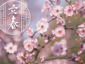 关于立春最佳名言精选