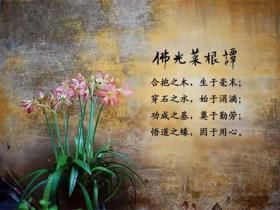 菜根谭名句精选