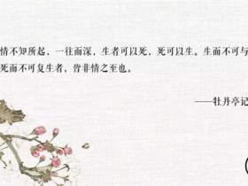 关于牡丹亭名句精选