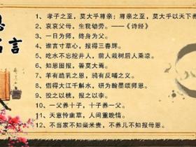 经典摘抄关于感恩的名言名句