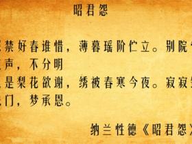 关于纳兰性德名句精选