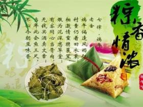 关于粽子的经典名句精选