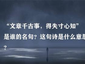 “文章千古事,得失寸心知”是谁的名句