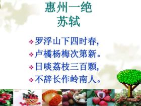 关于荔枝名句集合