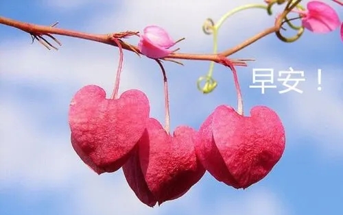 Ʒλ簲